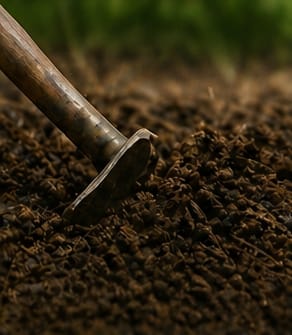 Farmer plowing dark fertile soil to prepare a chilli field