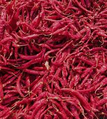 341 Indo-5 dry red chillies — long glossy hot pods from Telangana
