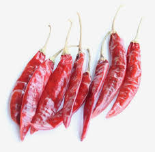 Guntur Sannam S4 dry red chillies — long slender pods with deep red colour